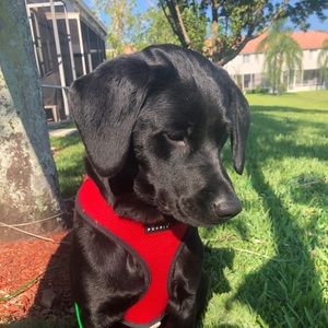 Meet your Posher, Teri